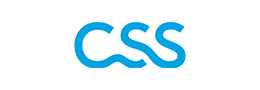CSS Logo